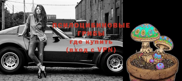 кокс Михайлов